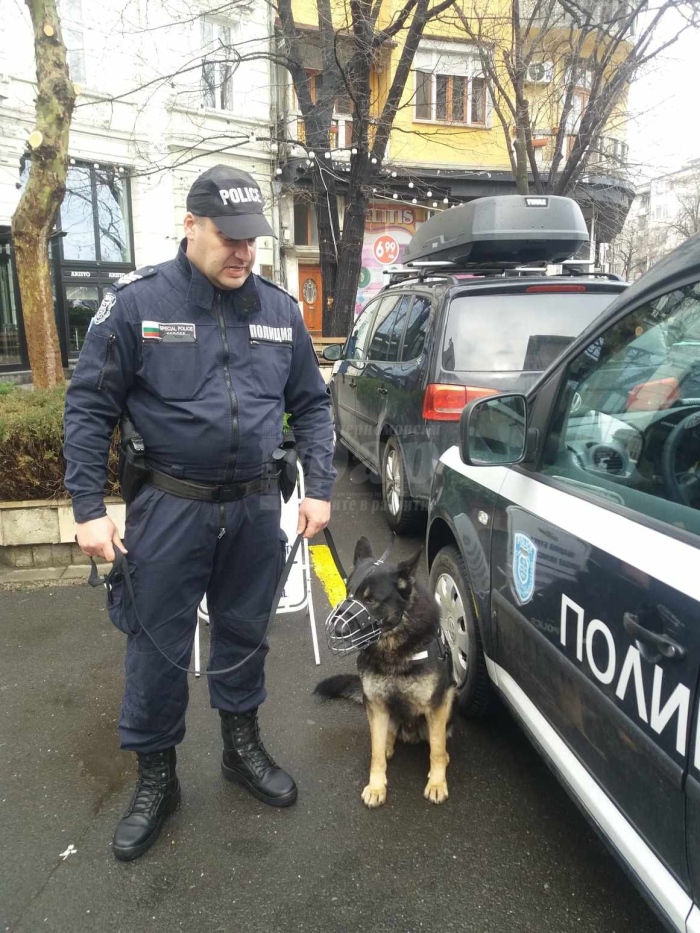 Първите патрули с кучета в центъра на Бургас започнаха работа /СНИМКИ/