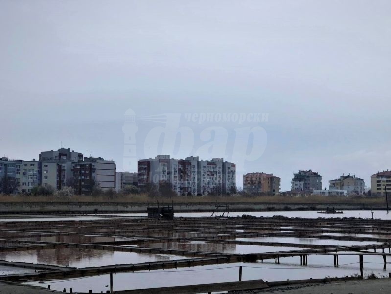 Солодобивът в Поморийско езеро – критично важен за настоящето и бъдещето на града