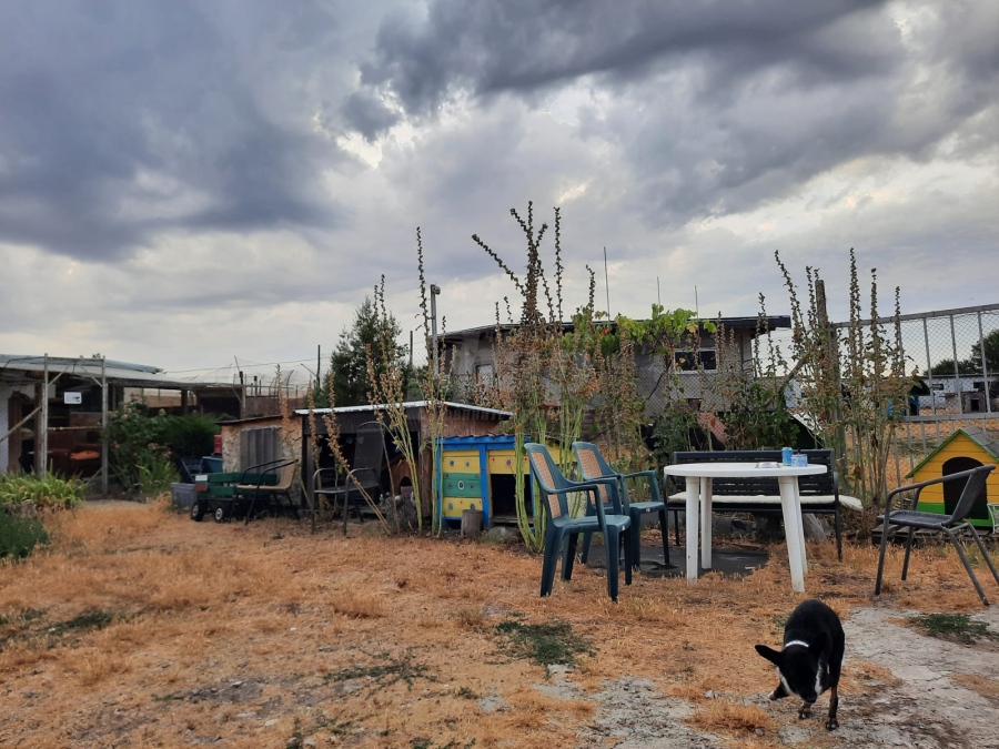 Кошмарна нощ в приюта в Черно море, огньовете стигнали до вратите му, евакуирали спешно животни