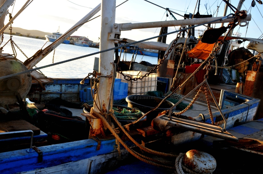 Флотилия от кораби-пенсионери вади риба от Черно море