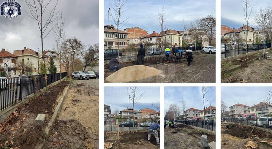 Нови дървета ще красят несебърската улица „Л. Каравелов“