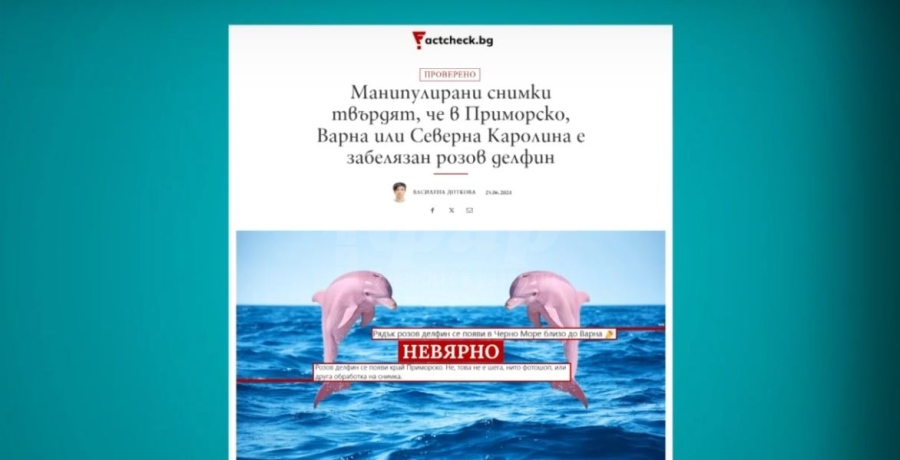 Има ли розови делфини по българското Черноморие