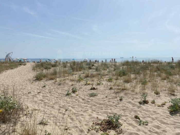 Българска фондация Биоразнообразие ще проведе акция за опазване на Бургаската дюна 