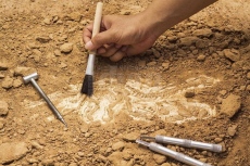 Археологически разкопки осветляват границата между Анхиало и Месамбрия